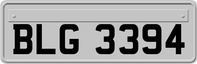 BLG3394