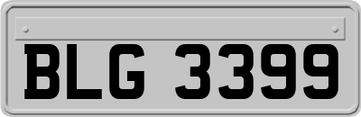 BLG3399