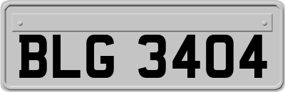 BLG3404