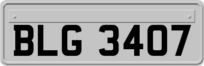 BLG3407