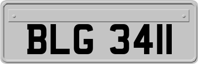 BLG3411