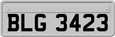 BLG3423