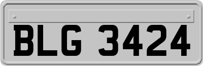BLG3424