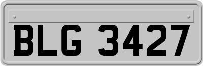 BLG3427