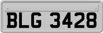 BLG3428