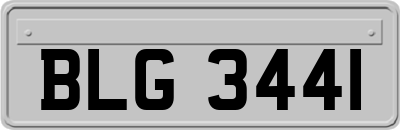 BLG3441