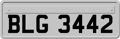 BLG3442