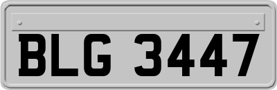 BLG3447