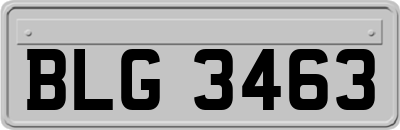 BLG3463