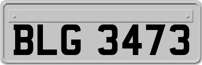 BLG3473