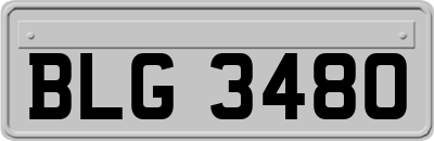 BLG3480