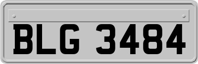 BLG3484