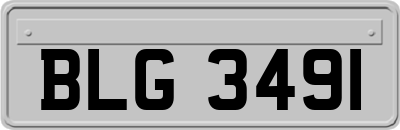BLG3491