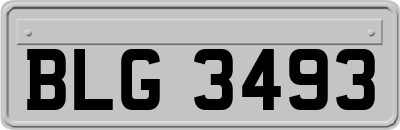 BLG3493