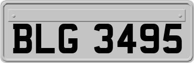 BLG3495