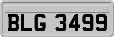 BLG3499