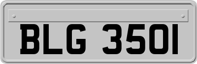 BLG3501