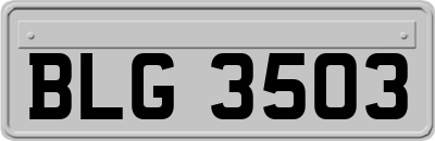 BLG3503