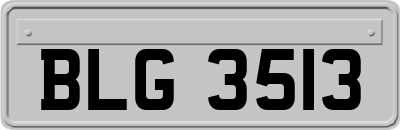 BLG3513