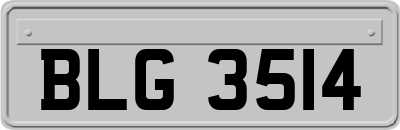 BLG3514
