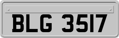 BLG3517