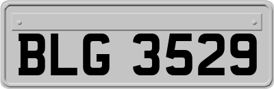 BLG3529
