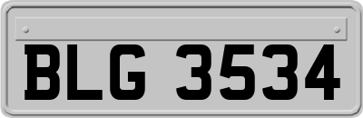 BLG3534