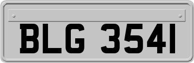 BLG3541
