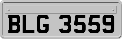 BLG3559