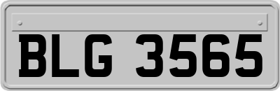 BLG3565