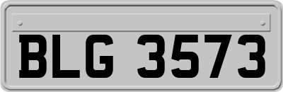 BLG3573
