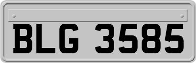 BLG3585