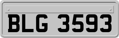 BLG3593