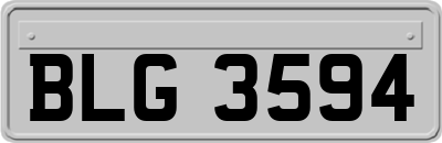 BLG3594