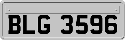 BLG3596