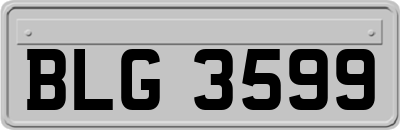 BLG3599