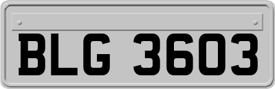 BLG3603