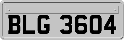 BLG3604