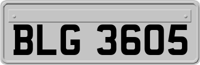 BLG3605