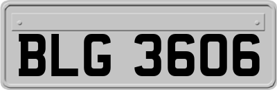 BLG3606