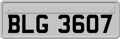 BLG3607