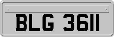 BLG3611