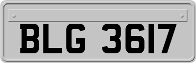 BLG3617