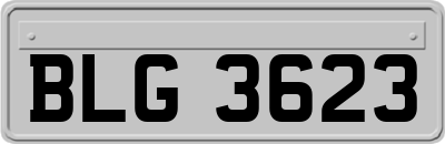 BLG3623