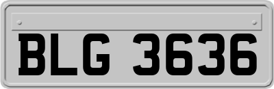 BLG3636