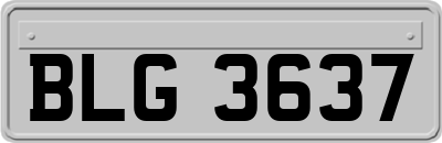 BLG3637