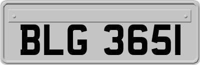 BLG3651