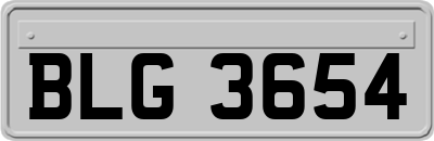 BLG3654