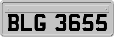 BLG3655