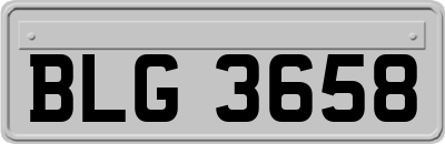 BLG3658